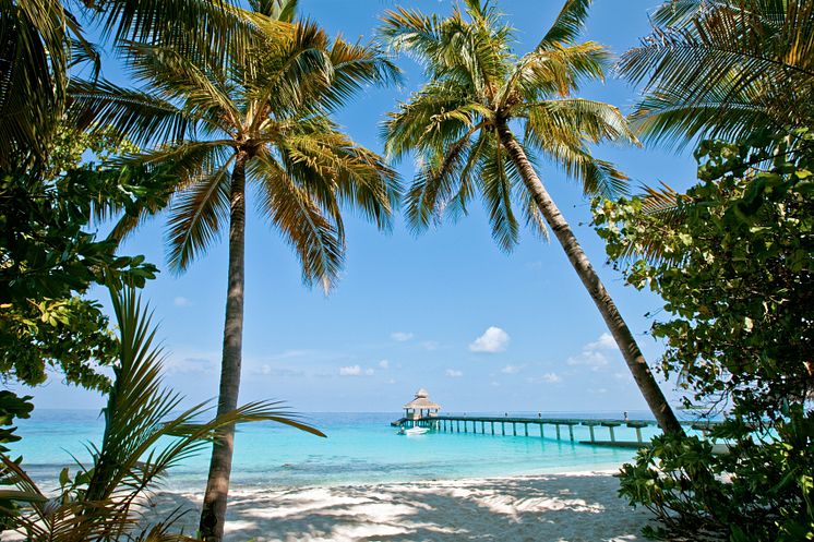 Reethi Beach Resort, Malediivit 