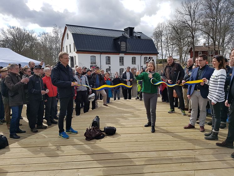 Miljöministern Karolina Skog inviger den fisktrappa Tyréns har utformat vid Ulva Kvarn i Uppsala.
