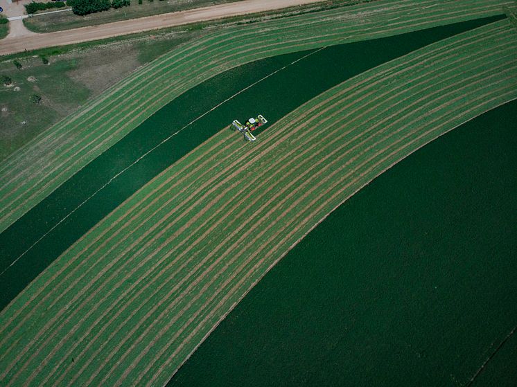 CLAAS rekord