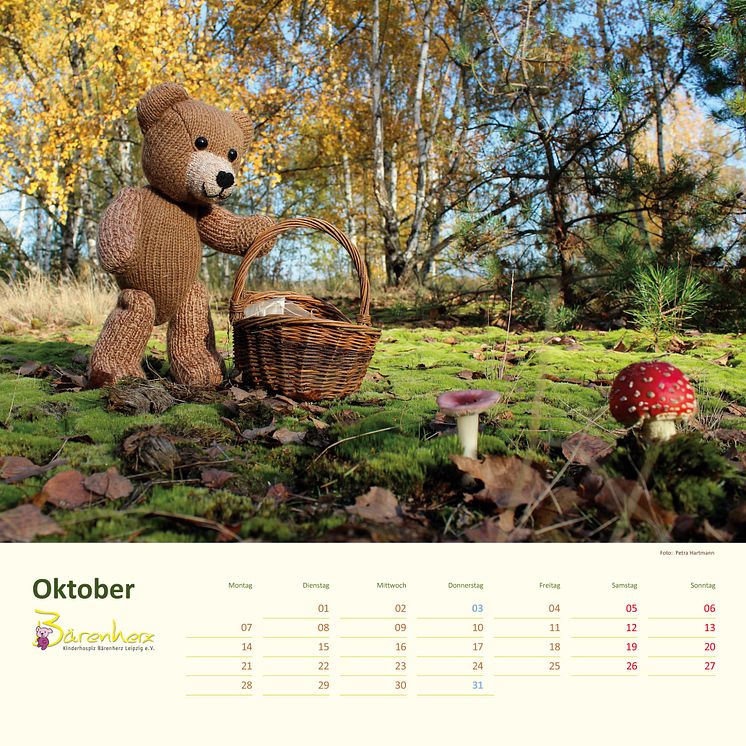 Mit Bärenherz durch das Jahr 2019 - Der neue Bärenherz-Kalender