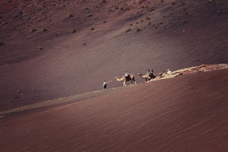 Timanfaya Nationalpark