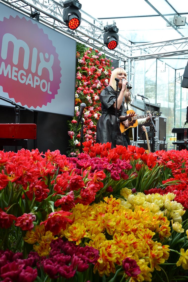 Anna Bergendahl uppträder på Blomsterfrämjandets och MixMegapols tulpankonsert