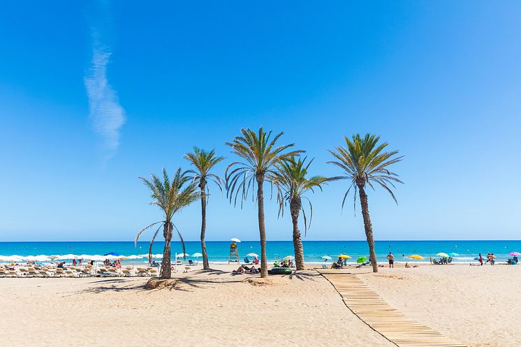 DEST_SPAIN_ALICANTE_SEASIDE_BEACH_PALM_TREES_PEOPLE_GettyImages-950371582_Universal_Within usage period_96413.jpg