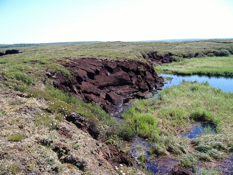 Tinande permafrost
