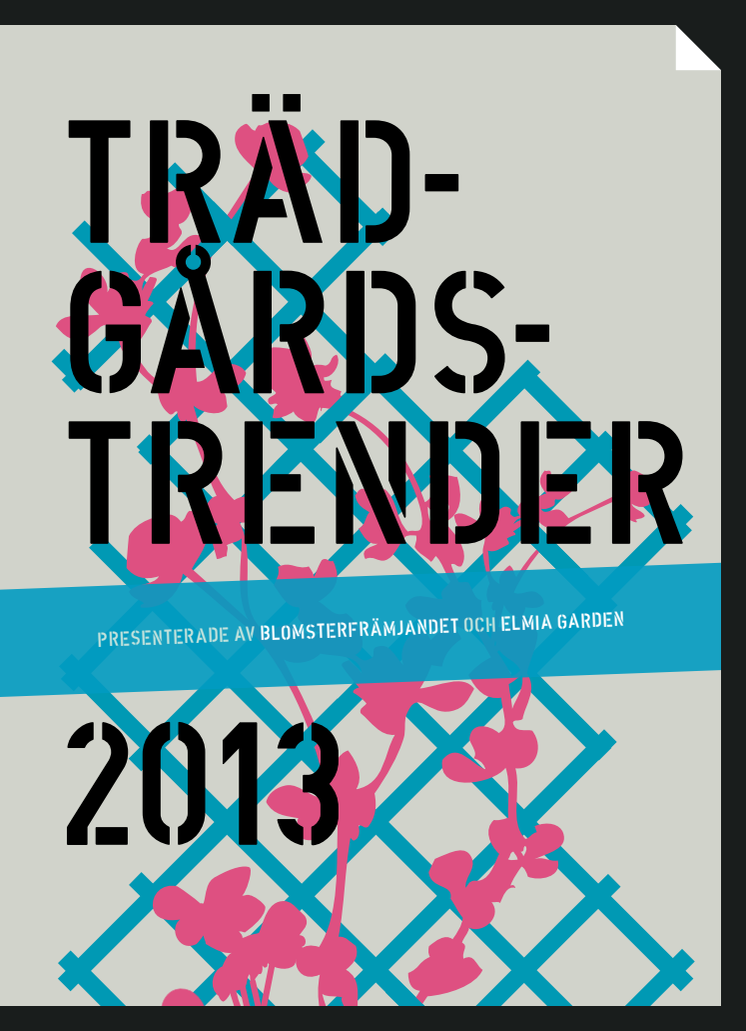 Trendbroschyr 2013