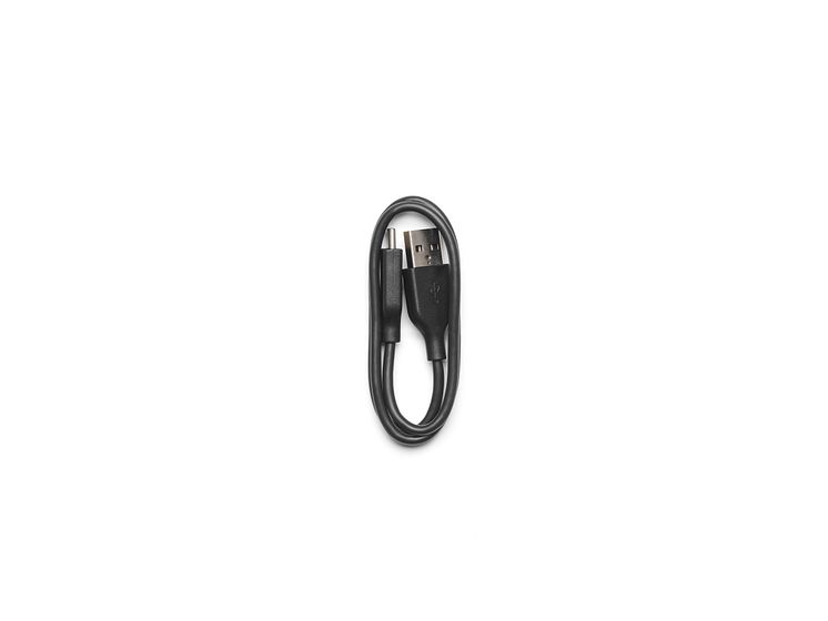 USB-C Charging Cable (40 cm).jpg