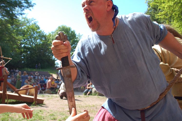 Vikingafejd