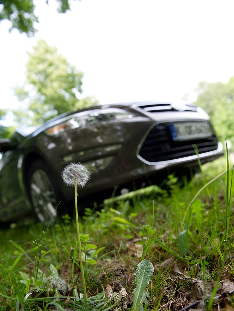 Ford undersöker möjligheten att tillverka komponenter av maskrosor - bild 3