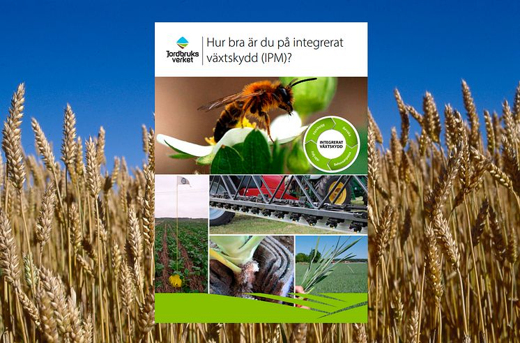 Broschyr om växtskydd
