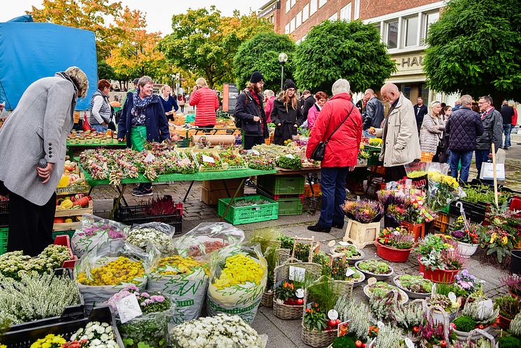 Bauern- und Regionalmarkt (c) Georg Angerer