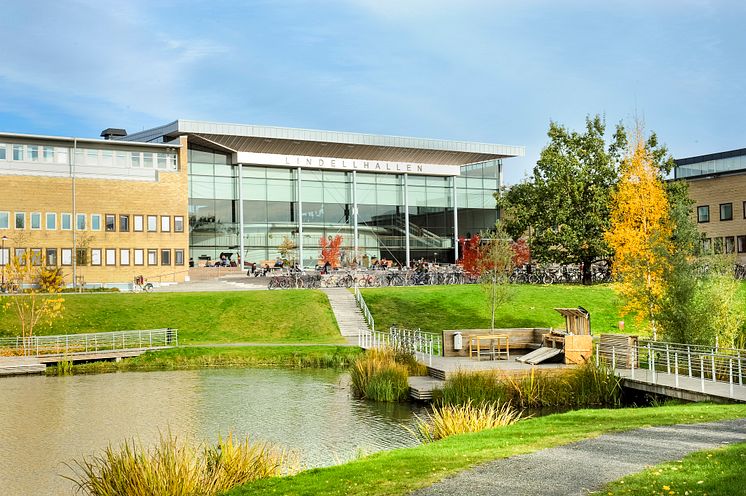 Dammen Campus Umeå universitet