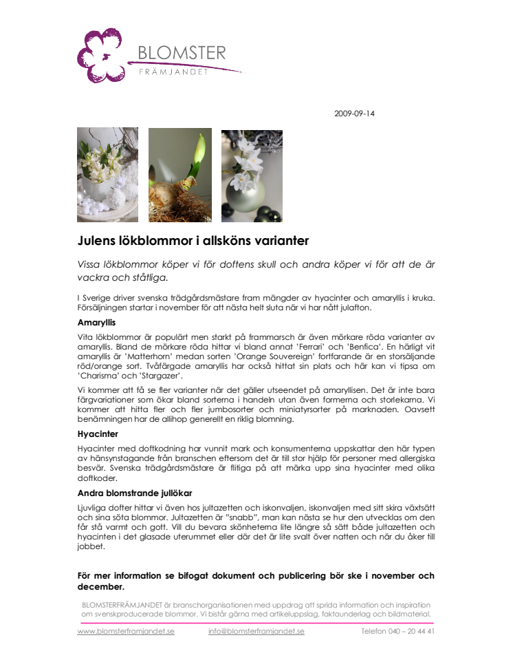 Julens lökblommor i allsköns varianter