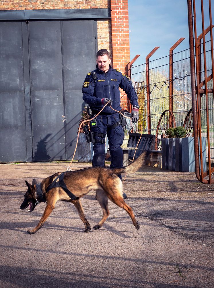 Årets polishund 2019