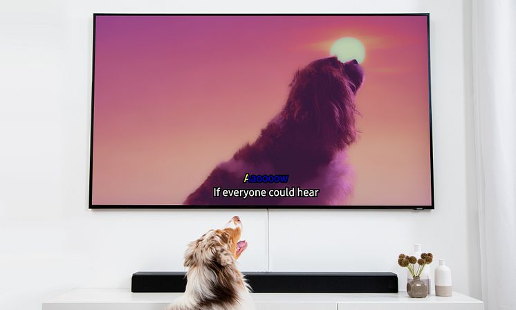 Dog Karaoke TV
