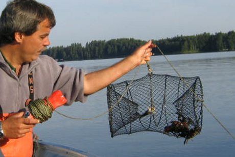 Landets kräftexperter samlas till konferens i Jönköping