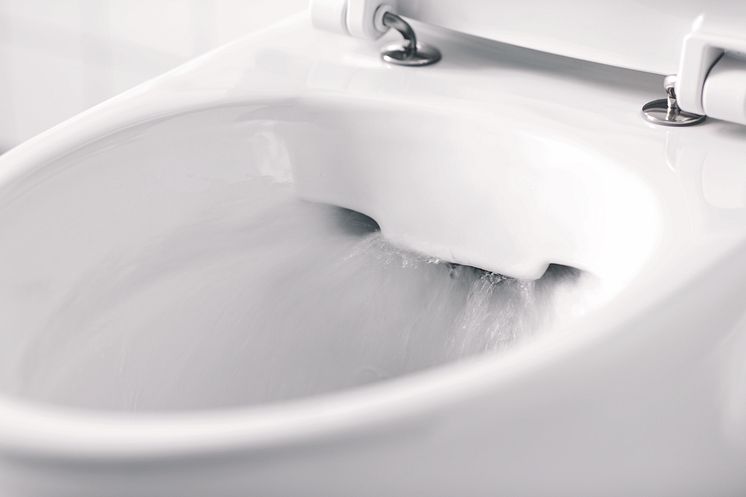 Detail Glow Rimfree 64 flushing