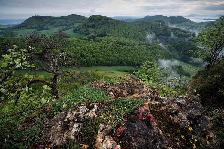 Jurapark Aargau, Wasserflue (c) Schweiz Tourismus