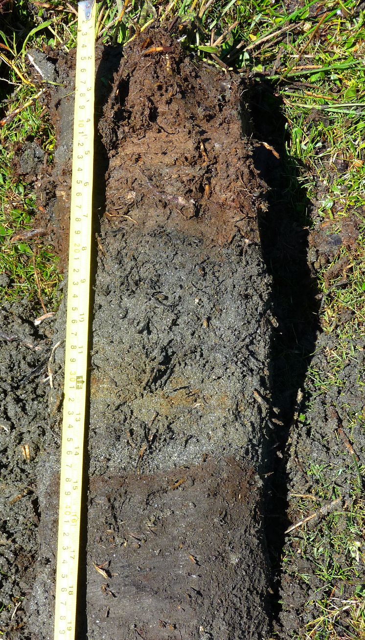 Sand deposits in a sediment core