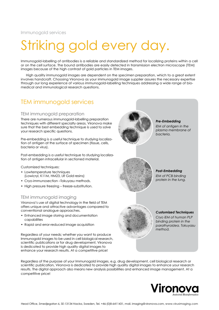 Immunogold Services 