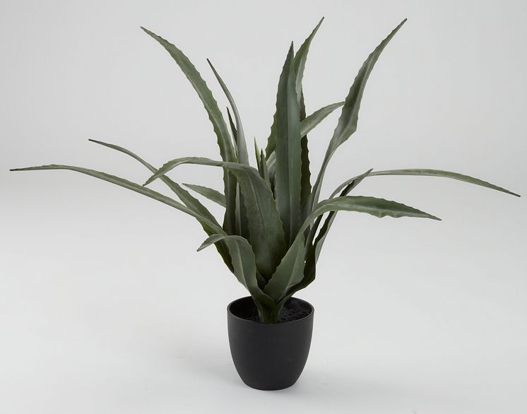 Kunstpflanze CELIUS, 65 cm
