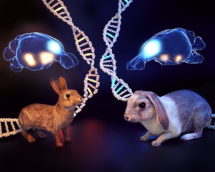 Striking phenotypic differences 