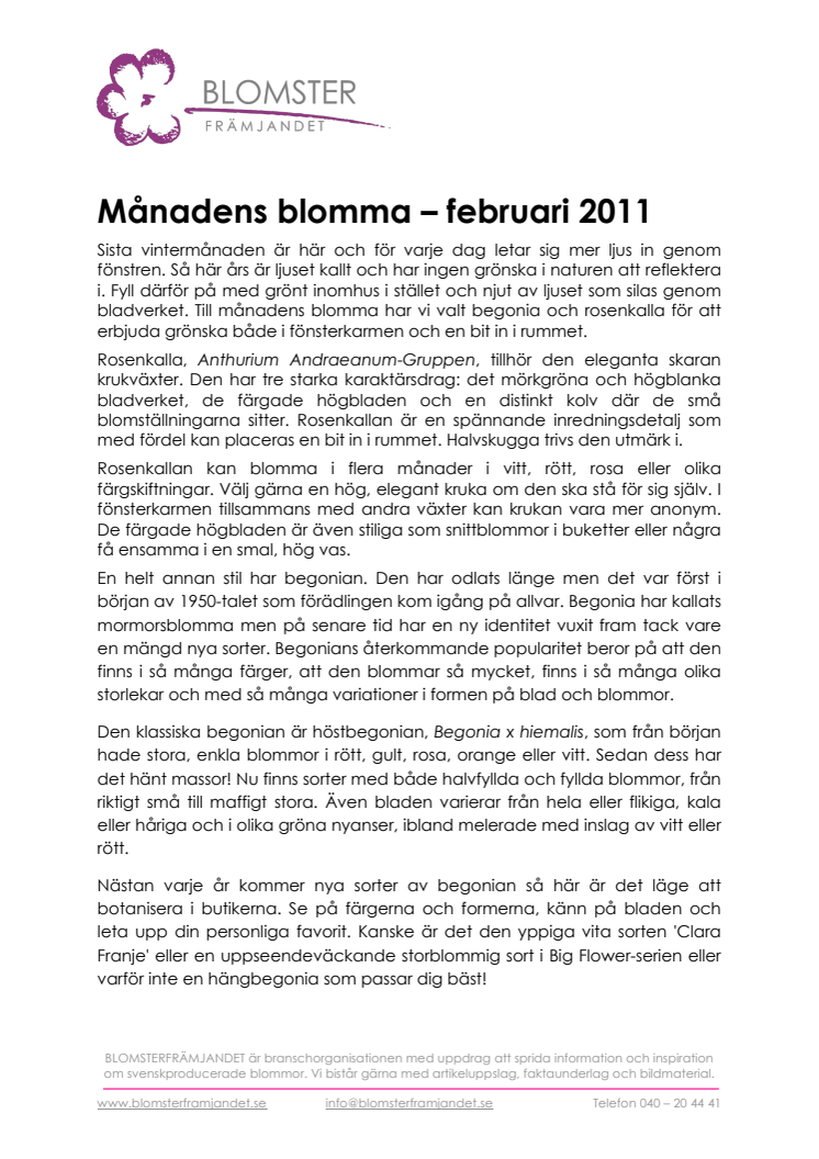 Månadens blomma - februari 2011