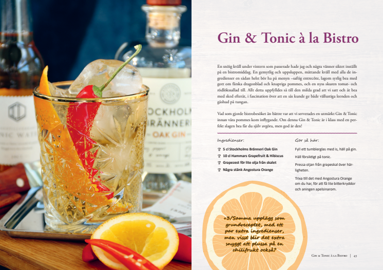 Uppslag ur Gin & Tonic helt enkelt, recept.pdf