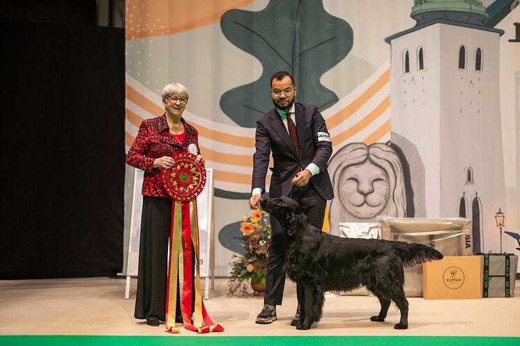 Best In Show  på Stockholm Hundmässa 2023 Almanza King Of The Castle Foto Jenny Jurnelius