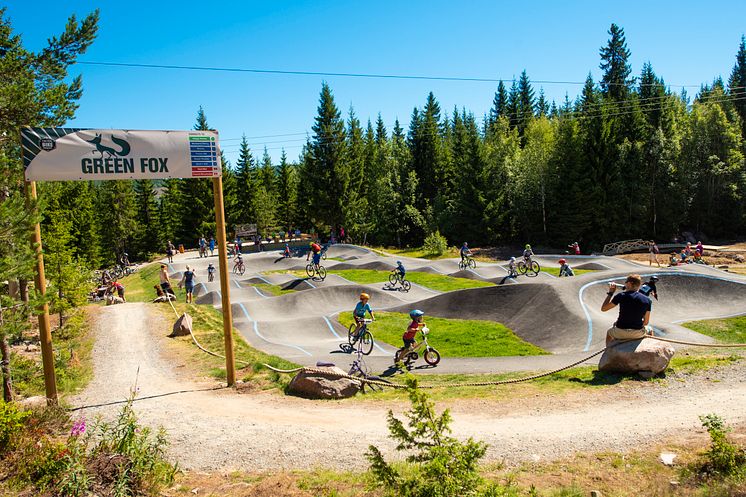 GT Bike Park