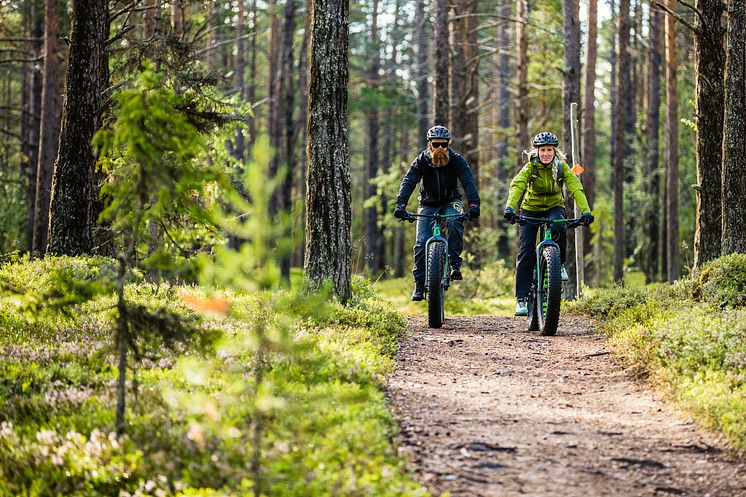 Fatbikecykling i Lofsdalen