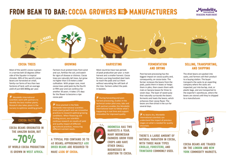 Mondelez Bean To Bar infographic October 2020