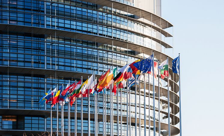 11831022-all-european-union-flags-in-front-of-parliament-eu.jpg