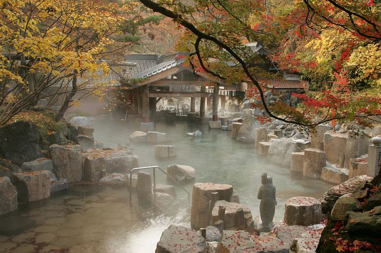 Takaragawa Onsen Osenkaku(7)