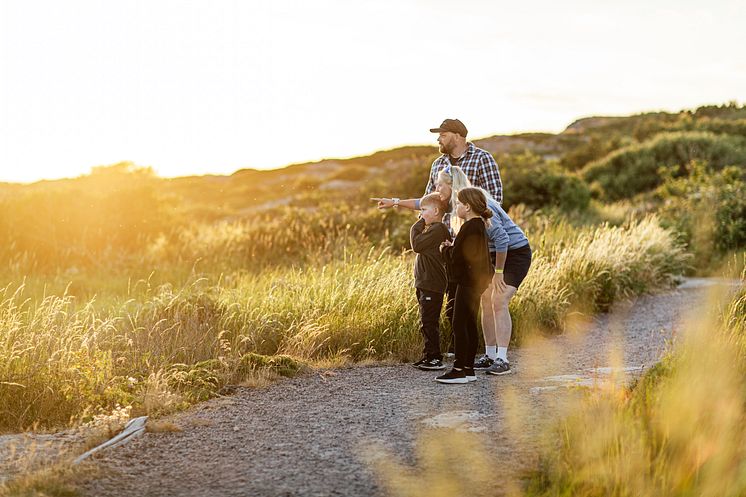 Sensommar_JoakimLindström