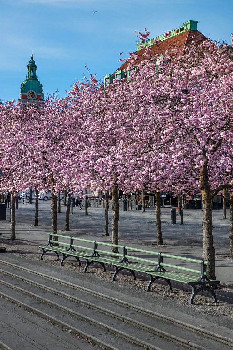 Nolasoffor, Kungsträdgården Stockholm.