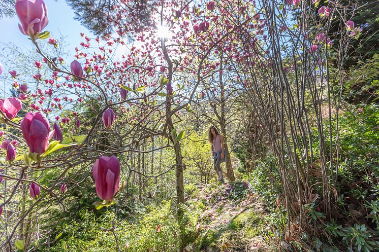 Parco botanico Vairano e Yoga (c) Ticino Turismo - Foto Alessio Pizzicannella
