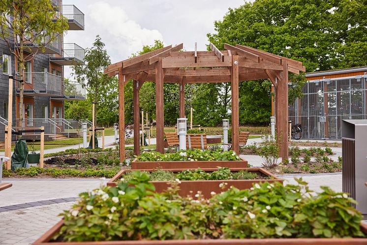 BoKlok Silviabo Skrabelycke plantering på gården