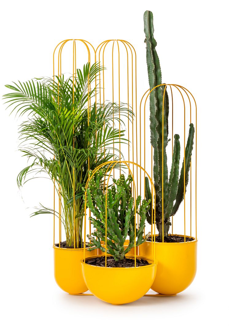 Cacti planteringskärl, design Anki Gneib 