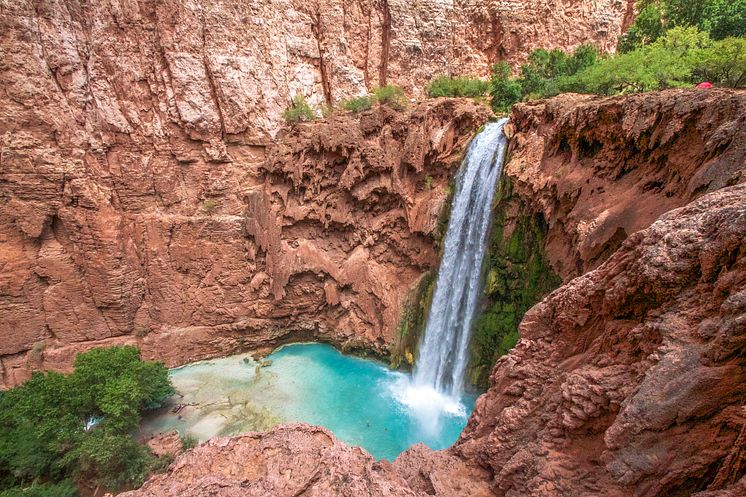 Havasu falls