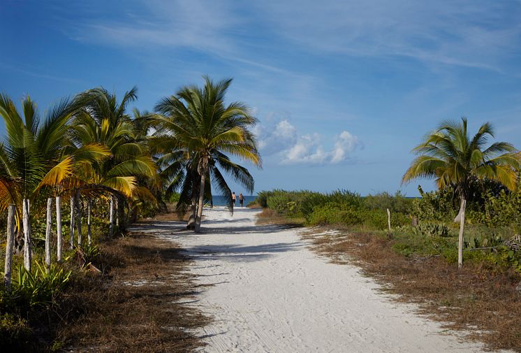 path-to-beach-el-cuyo-mexico-tui-large