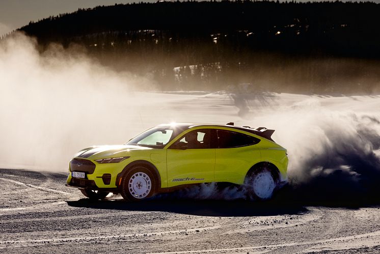 2024 Mustang Mach-E Rally Gol (13).jpg