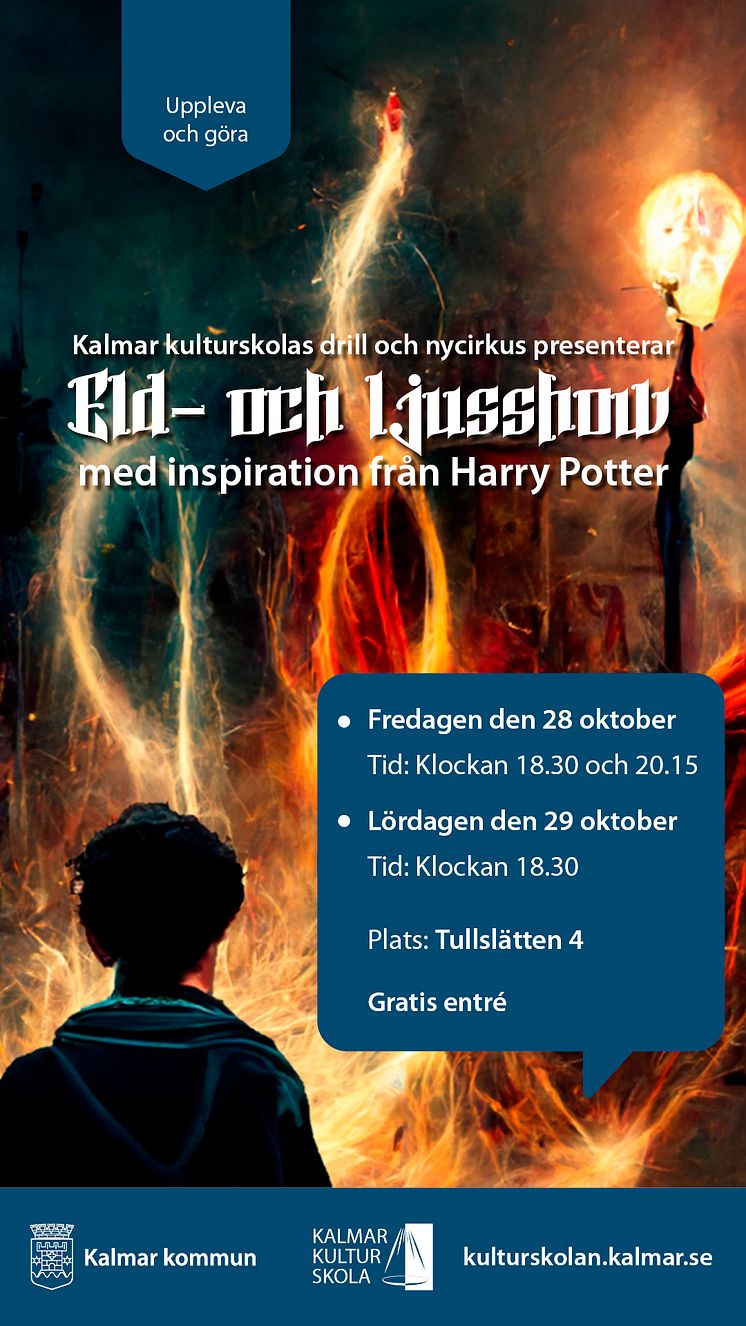 eld-och-ljusshow-affisch