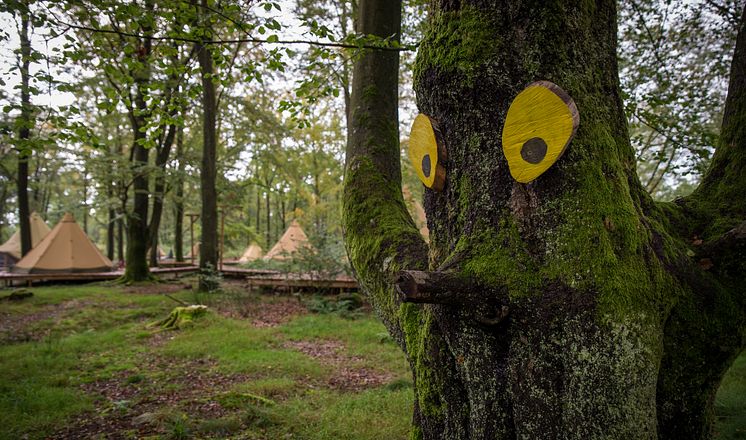 Trolljakt i djurparkens djupa skogar