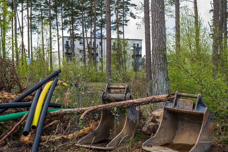 Arkeologi Ljungaviken 2020 1 RGB