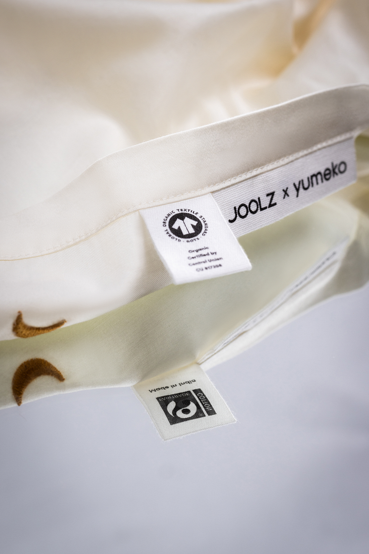 Joolz-241217-018.png
