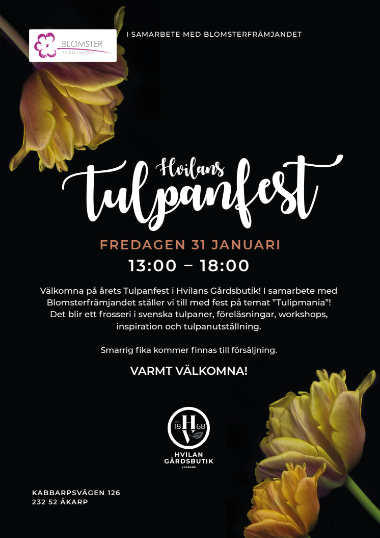 Hvilans Tulpanfest