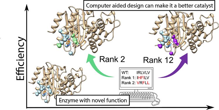 Ancient enzymes