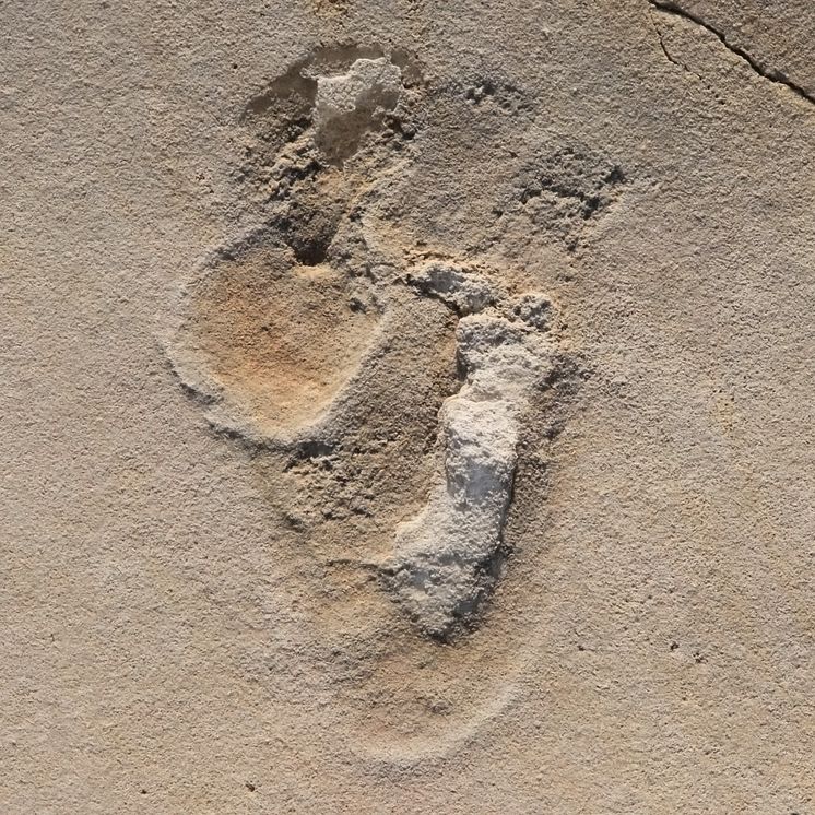 The footprints from Trachilos