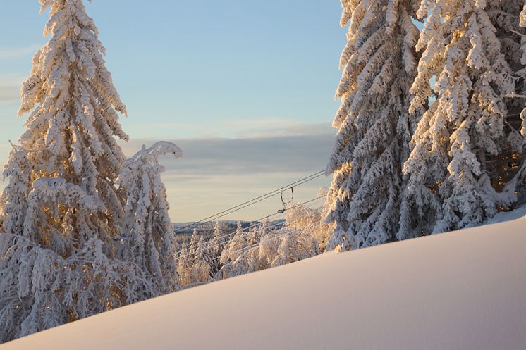 Miljöbilder Orsa Grönklitt