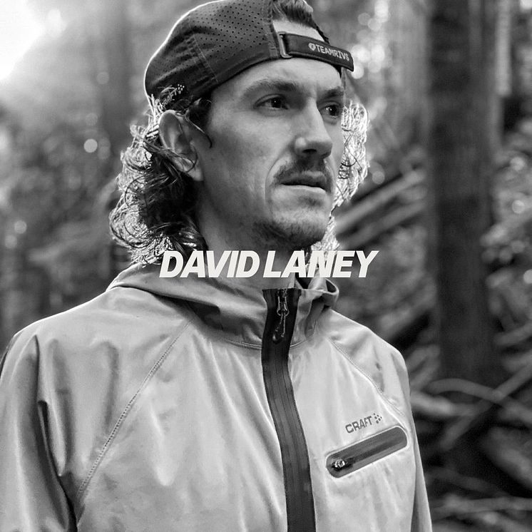 David Laney